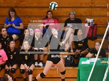 Thumbnail 1 in Fontainebleau vs Haynes Academy (Newman Tournament) photogallery.