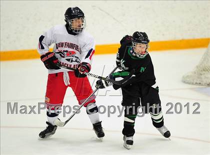 Thumbnail 2 in Norwalk/McMahon @ New Fairfield/Immaculate photogallery.