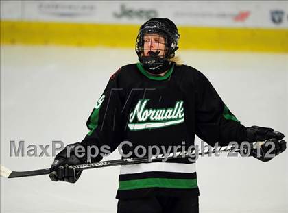 Thumbnail 3 in Norwalk/McMahon @ New Fairfield/Immaculate photogallery.