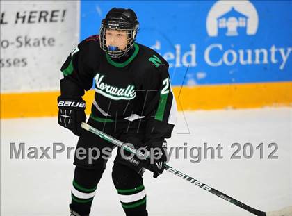 Thumbnail 1 in Norwalk/McMahon @ New Fairfield/Immaculate photogallery.