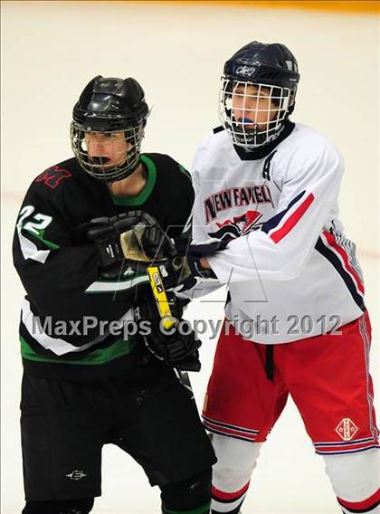 Thumbnail 2 in Norwalk/McMahon @ New Fairfield/Immaculate photogallery.