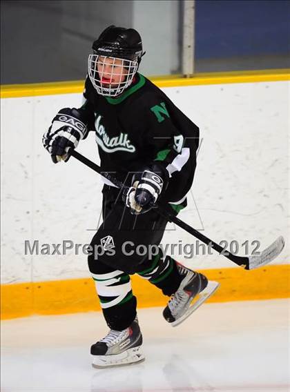 Thumbnail 3 in Norwalk/McMahon @ New Fairfield/Immaculate photogallery.