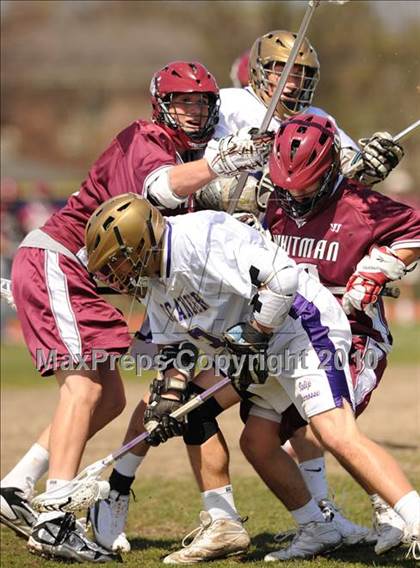 Thumbnail 2 in Whitman @ Islip photogallery.