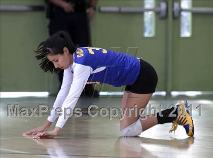 Thumbnail 2 in Poly vs. Palisades (CIF LACS D2 Final) photogallery.
