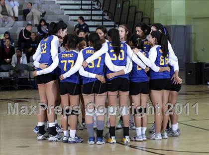 Thumbnail 3 in Poly vs. Palisades (CIF LACS D2 Final) photogallery.