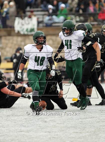 Thumbnail 1 in Derby vs. Blue Valley (KSHSAA 6A Final) photogallery.