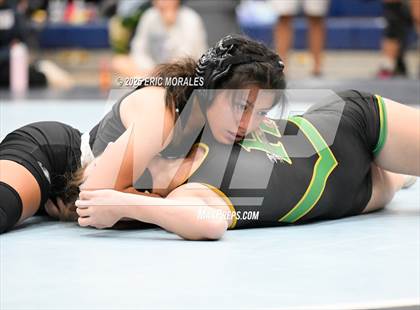 Thumbnail 3 in Goddess of Victoria photogallery.