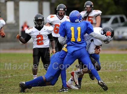 Thumbnail 3 in Ridgefield @ Harding photogallery.