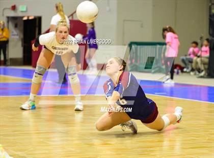 Thumbnail 3 in Fossil Ridge vs. Cherokee Trail (CHSAA 5A State Championships Elimination Bracket Round 1) photogallery.