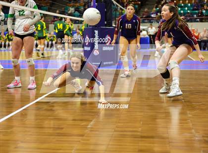 Thumbnail 3 in Fossil Ridge vs. Cherokee Trail (CHSAA 5A State Championships Elimination Bracket Round 1) photogallery.