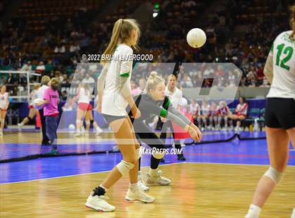 Thumbnail 2 in Fossil Ridge vs. Cherokee Trail (CHSAA 5A State Championships Elimination Bracket Round 1) photogallery.