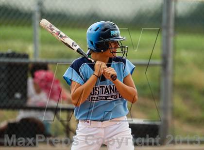 Thumbnail 1 in Mountain Vista @ Ralston Valley photogallery.