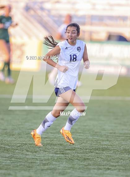 Thumbnail 1 in Nerinx Hall v Liberty North (MSHSAA Class 4 State Championship) photogallery.