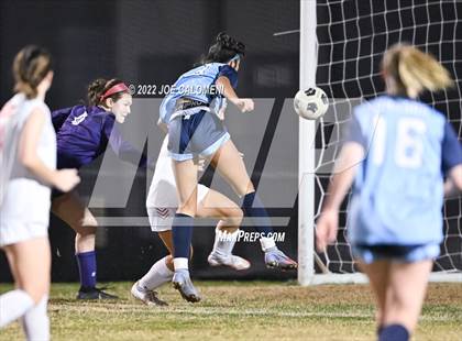Thumbnail 1 in Lee vs Johnson photogallery.