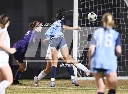 Thumbnail 3 in Lee vs Johnson photogallery.
