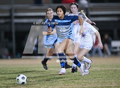 Thumbnail 3 in Lee vs Johnson photogallery.