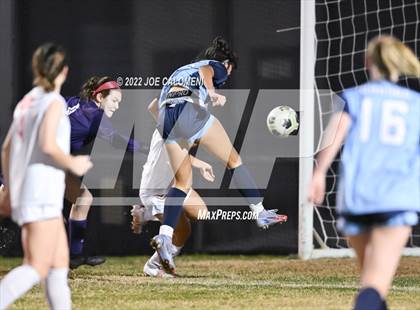 Thumbnail 3 in Lee vs Johnson photogallery.