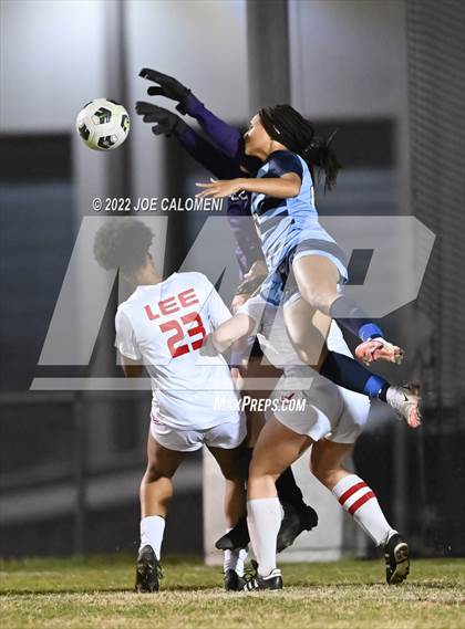 Thumbnail 3 in Lee vs Johnson photogallery.