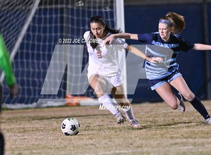 Thumbnail 3 in Lee vs Johnson photogallery.