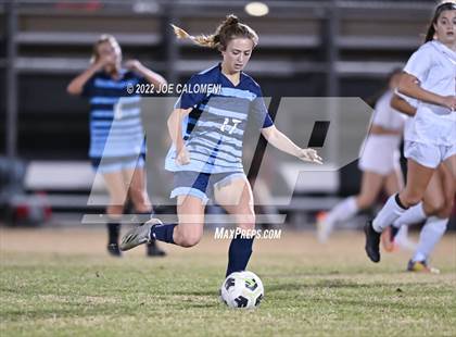 Thumbnail 3 in Lee vs Johnson photogallery.