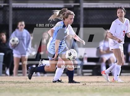 Thumbnail 3 in Lee vs Johnson photogallery.