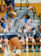 Photo from the gallery "Montgomery @ Baker"