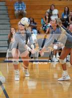 Photo from the gallery "Montgomery @ Baker"