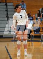 Photo from the gallery "Montgomery @ Baker"