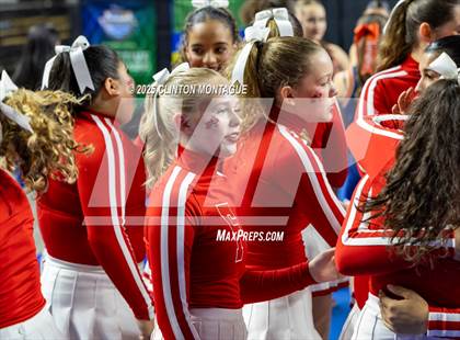 Thumbnail 2 in Florence - Cheer (AIA Division III-IV Final) photogallery.