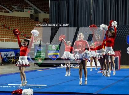 Thumbnail 1 in Florence - Cheer (AIA Division III-IV Final) photogallery.