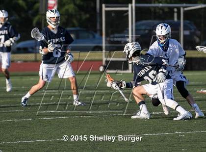 Thumbnail 1 in Staples vs Ludlowe (CIAC Class L 1st Round) photogallery.