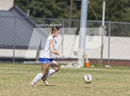 Thumbnail 2 in Pike View vs Lewis County photogallery.