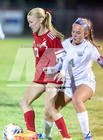 Thumbnail 2 in Viera @ Satellite photogallery.