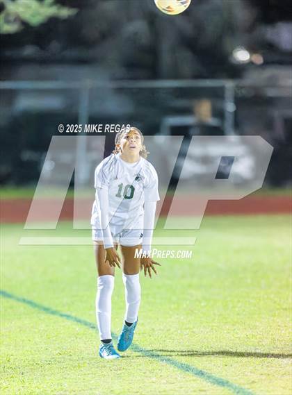 Thumbnail 1 in Viera @ Satellite photogallery.