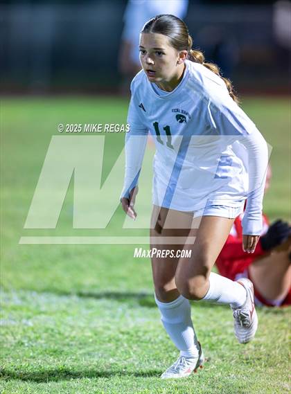 Thumbnail 3 in Viera @ Satellite photogallery.