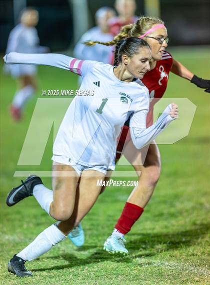 Thumbnail 2 in Viera @ Satellite photogallery.