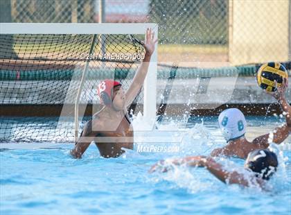 Thumbnail 2 in Evergreen Valley vs Silver Creek photogallery.