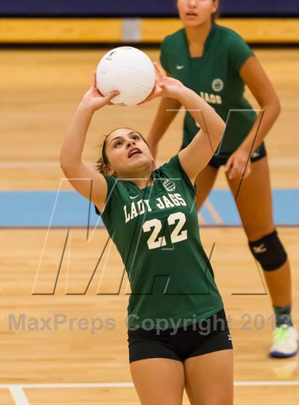 Thumbnail 3 in Falls Church @ Yorktown photogallery.