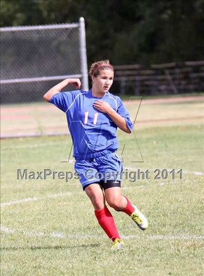 Thumbnail 1 in Williamsville South @ Williamsville East photogallery.