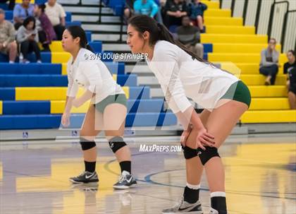Thumbnail 1 in Archbishop Mitty vs. Sacred Heart Cathedral Preparatory (CIF-CCS Open Div. Semi-finals) photogallery.