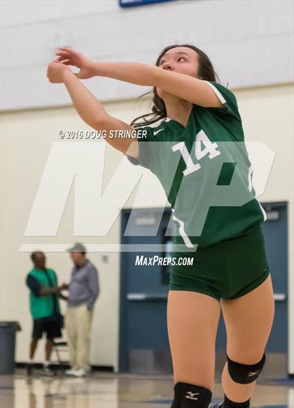 Thumbnail 2 in Archbishop Mitty vs. Sacred Heart Cathedral Preparatory (CIF-CCS Open Div. Semi-finals) photogallery.