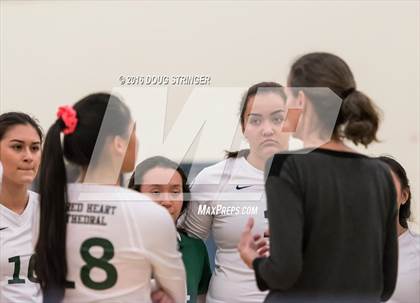 Thumbnail 2 in Archbishop Mitty vs. Sacred Heart Cathedral Preparatory (CIF-CCS Open Div. Semi-finals) photogallery.