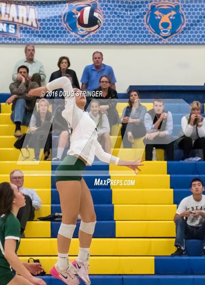Thumbnail 3 in Archbishop Mitty vs. Sacred Heart Cathedral Preparatory (CIF-CCS Open Div. Semi-finals) photogallery.