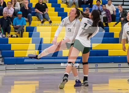 Thumbnail 2 in Archbishop Mitty vs. Sacred Heart Cathedral Preparatory (CIF-CCS Open Div. Semi-finals) photogallery.