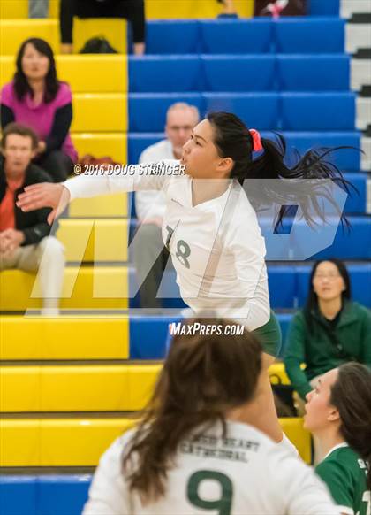 Thumbnail 1 in Archbishop Mitty vs. Sacred Heart Cathedral Preparatory (CIF-CCS Open Div. Semi-finals) photogallery.