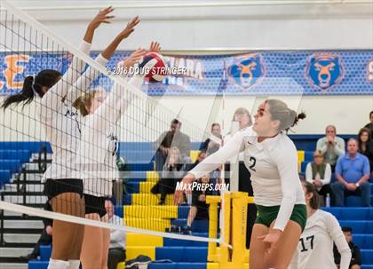Thumbnail 3 in Archbishop Mitty vs. Sacred Heart Cathedral Preparatory (CIF-CCS Open Div. Semi-finals) photogallery.