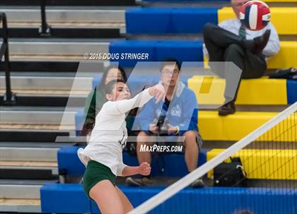 Thumbnail 1 in Archbishop Mitty vs. Sacred Heart Cathedral Preparatory (CIF-CCS Open Div. Semi-finals) photogallery.