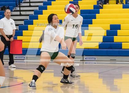 Thumbnail 1 in Archbishop Mitty vs. Sacred Heart Cathedral Preparatory (CIF-CCS Open Div. Semi-finals) photogallery.
