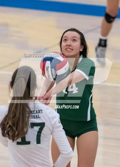 Thumbnail 3 in Archbishop Mitty vs. Sacred Heart Cathedral Preparatory (CIF-CCS Open Div. Semi-finals) photogallery.
