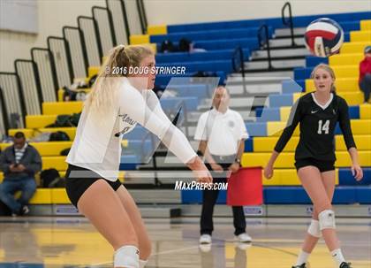 Thumbnail 1 in Archbishop Mitty vs. Sacred Heart Cathedral Preparatory (CIF-CCS Open Div. Semi-finals) photogallery.